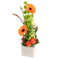 Lycka till - Blomsterdekorationer - Skicka blommor i %city%